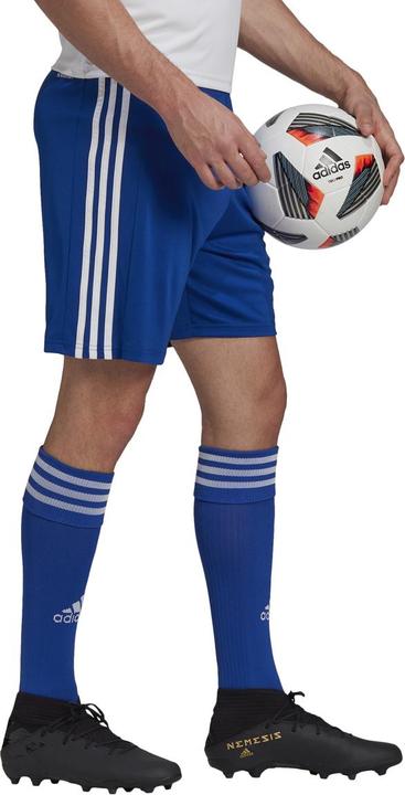 Actual product image adidas Squadra 21 Short (M)