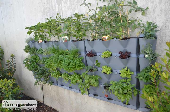 Image du produit Minigarden Jardinière verticale