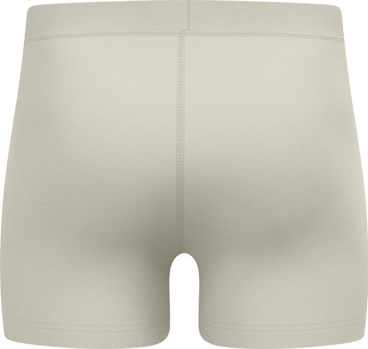 Immagine prodotto Odlo Merino 160 (XL)