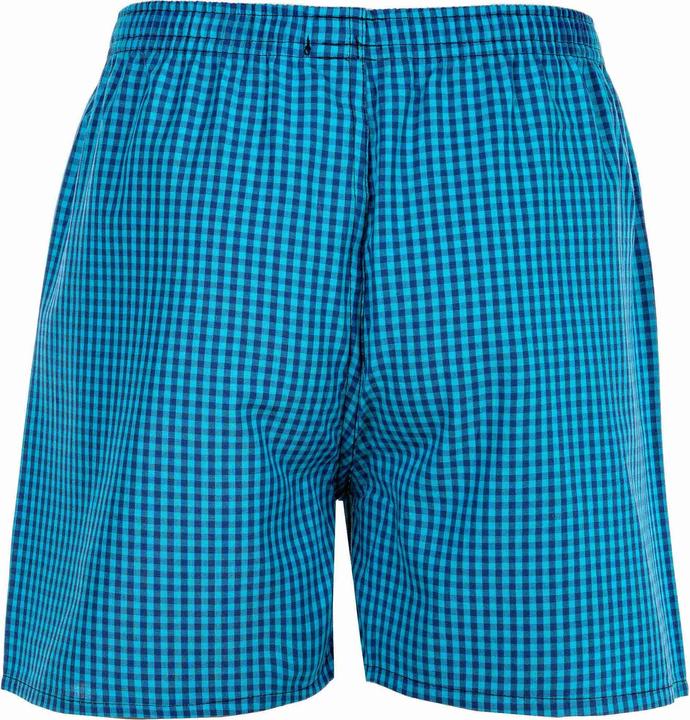 Image du produit Your Basics Boxers tissés Casual Coupe ample (188, paquet de 7)