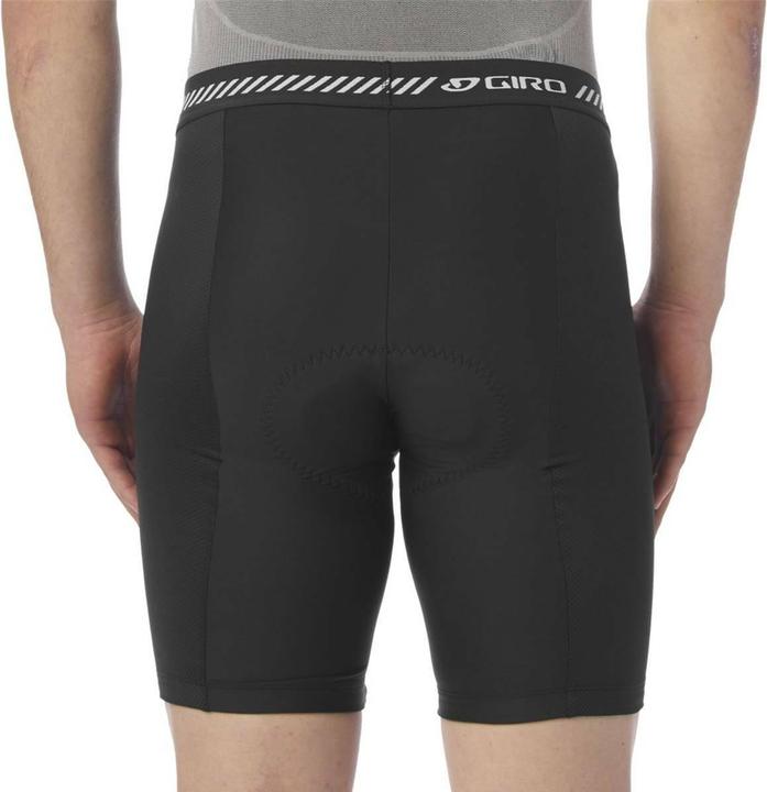 Image du produit Giro M Arc Short w/ Liner (30)