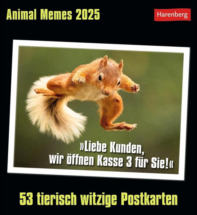 Produktbild Harenberg Animal Memes Postkartenkalender 2025 - 53 tierisch witzige Postkarten (16 x 17.5 cm, Kein Einband, Englisch, Deutsch)