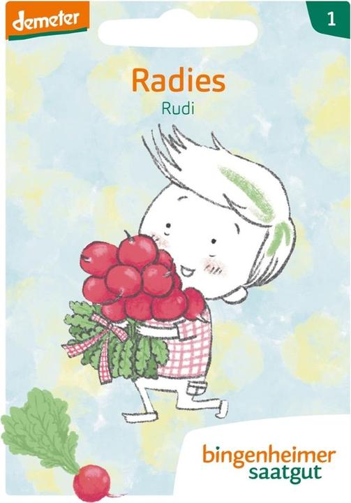 Image du produit Bingenheimer Saatgut Radis Rudi (Germes)