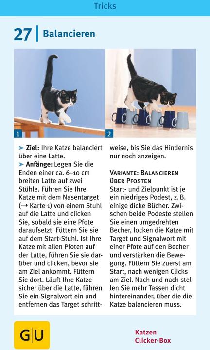 Produktbild Katzen-Clicker-Box (Deutsch, Birgit Rödder, 2013)