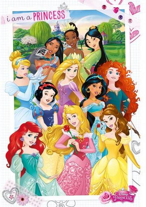 Image du produit Disney Princess Poster (61 x 91 cm)