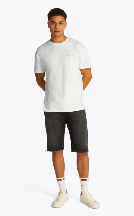 Image du produit Tommy Jeans Tjm Reg Graphic Slub Tee Ext (XL)