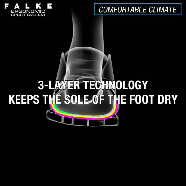 Image du produit Falke RU4 Invisible (42 - 43)
