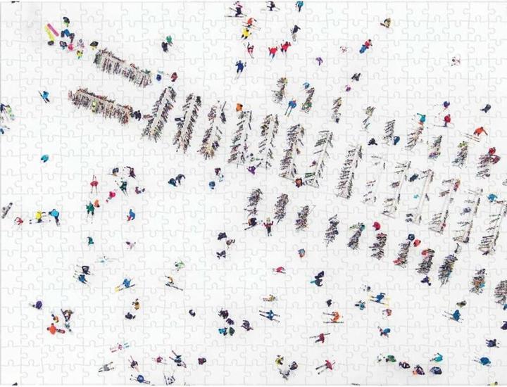 Voedingswaarden en ingrediënten Abrams & Chronicle Gray Malin De Sneeuw - 2-zijdige puzzel (500 onderdelen)