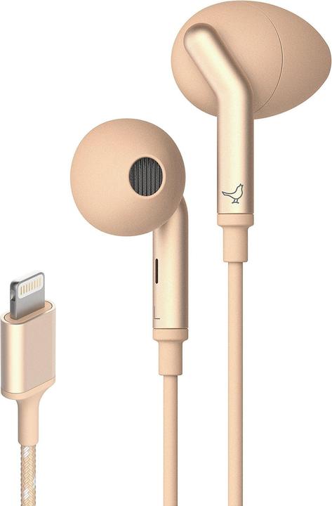 Produktbild Libratone Q Adapt (ANC, Kabelgebunden)