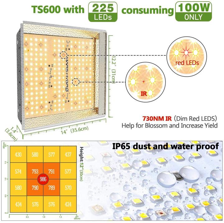 Produktbild Mars hydro Growbox Set TS600W