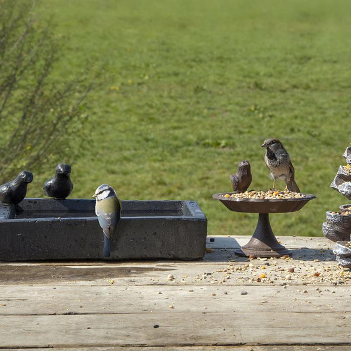 Immagine prodotto Best for Birds Vogelbad
