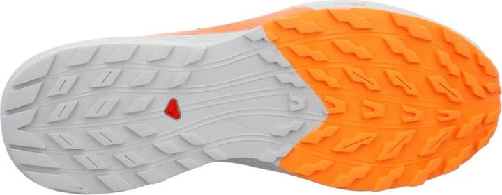 Image du produit Salomon Sense Ride 5 (44)