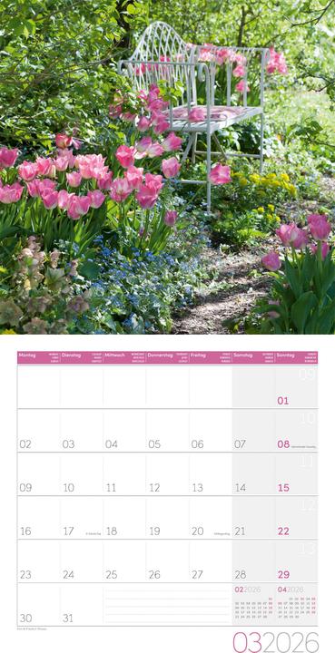 Produktbild In meinem Garten Kalender 2026 - 30x30 (30 x 30 cm, Harter Einband, Deutsch, Französisch, Englisch, Italienisch)
