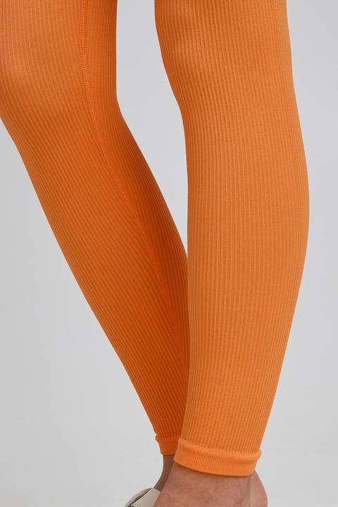 Immagine prodotto TheJoggConcept JCSAHANA LEGGING 22800030 (S/M)
