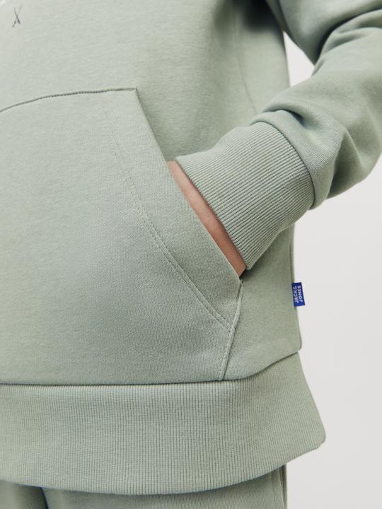 Actual product image Jack & Jones JJELOGO SWEAT HOOD 2 COL 24/25 NOOS JNR (164)