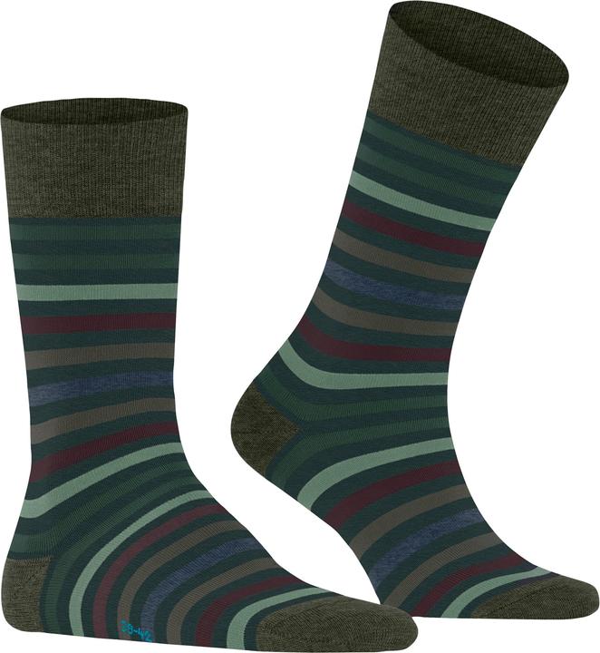Actual product image Falke Tinted Stripe SO (Single pack, 47 - 50)