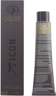 Image du produit Icon Ecotech Color 5.555 Rouge Automne 60 ml (5.555)