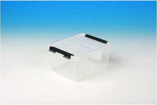 Produktbild Ebnat Tragbox mit Deckel (21 x 17 x 11 cm, 2 l)