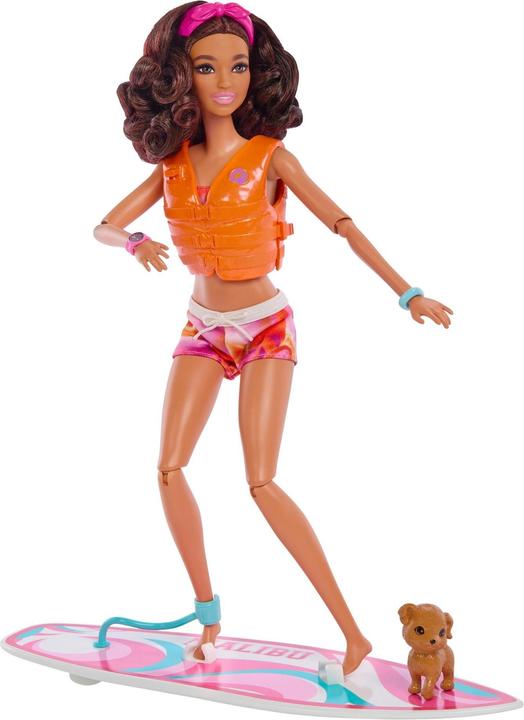 Actual product image Barbie Doll and Accessories