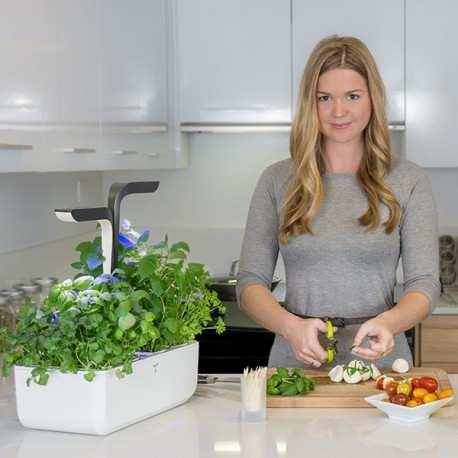 Actual product image Véritable VERITABLE CONNECT Indoor Garden gold incl 4 Packs (18.50 cm)