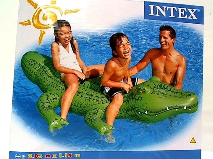 Produktbild Intex Giant Gator