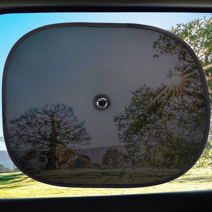 Actual product image Filmer Set of 2 sun shades