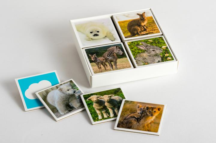 Produktbild Tierkinder-Memo (Kinderspiel) (Deutsch)