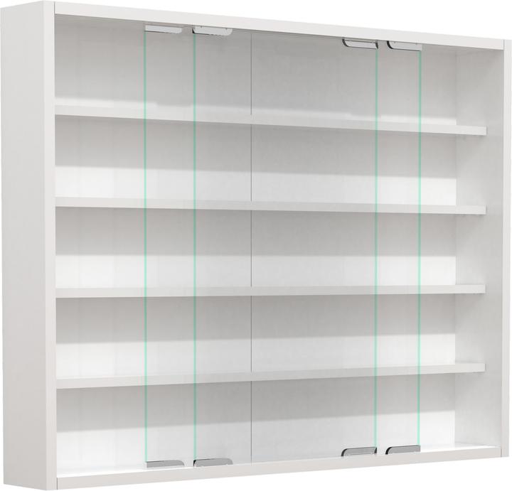 Actual product image VCM Wooden Glass Hanging Display Case Wall Display Case Collectors Deco Showcase Agisa L (77 x 10 x 60 cm)