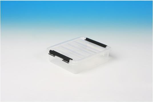 Actual product image Ebnat Tragbox (21 x 17 x 6 cm, 1 l)