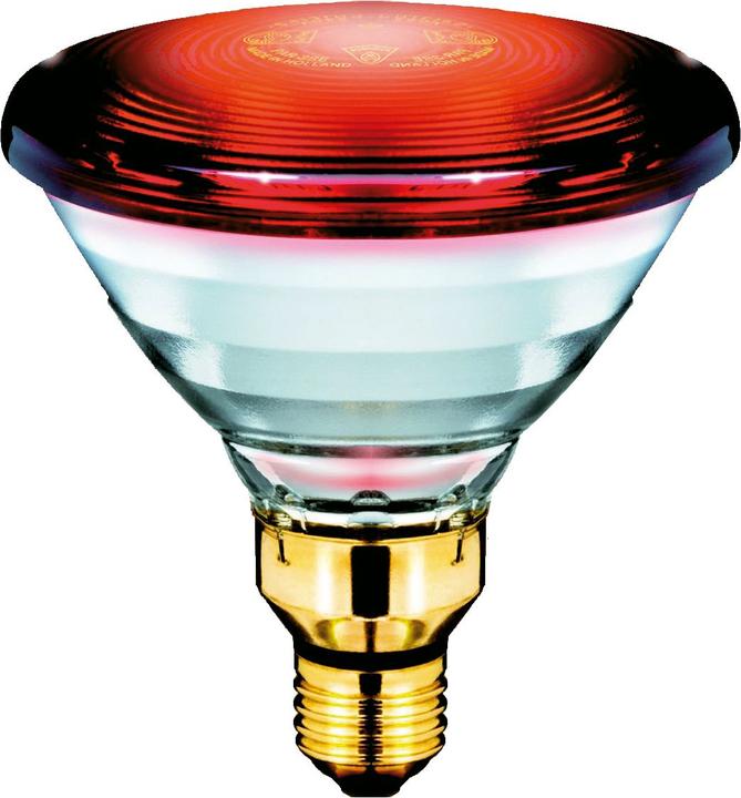 Philips Infrared lamp (150 W)