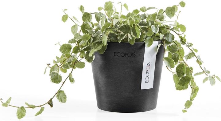 Produktbild Ecopots Amsterdam Mini (10.50 cm)