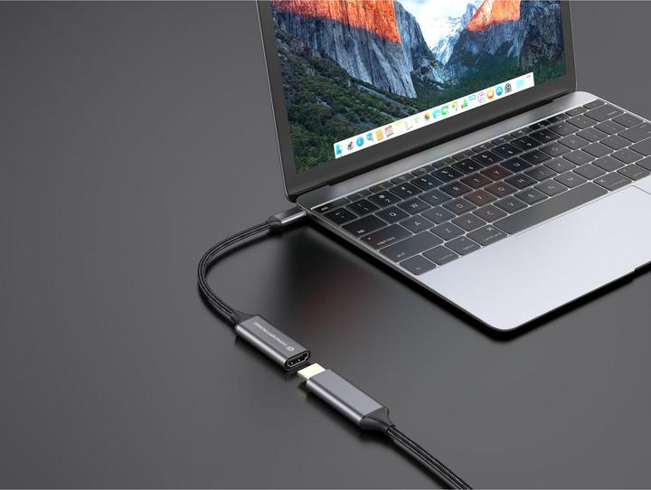 Immagine prodotto Conceptronic USB-C zu (USB-C, 2 cm)