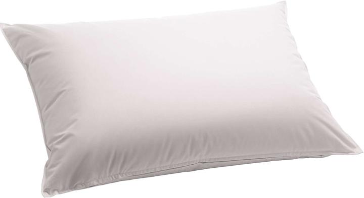 Actual product image Billerbeck Casa Fibre (65 x 65 cm)