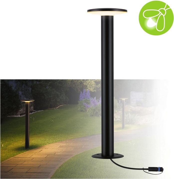 Immagine prodotto Paulmann Outdoor Plug & Shine Plate Insect Friendly (660 lm, IP44)