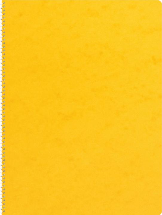 Actual product image Novooo Spiralheft assortiert (A4, Lined)