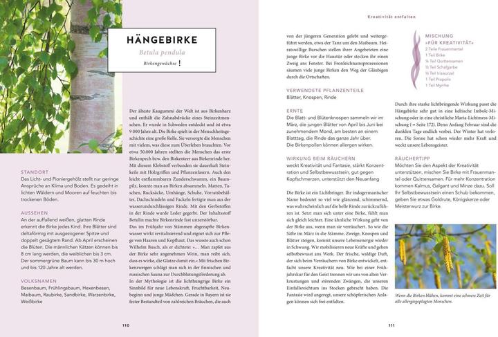 Produktbild Heilsames Räuchern mit Wildpflanzen (Deutsch, Adolfine Nitschke, 2018)