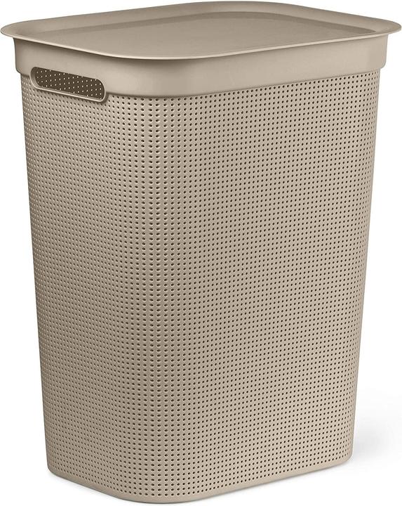 Rotho Brises 1 (50 l)