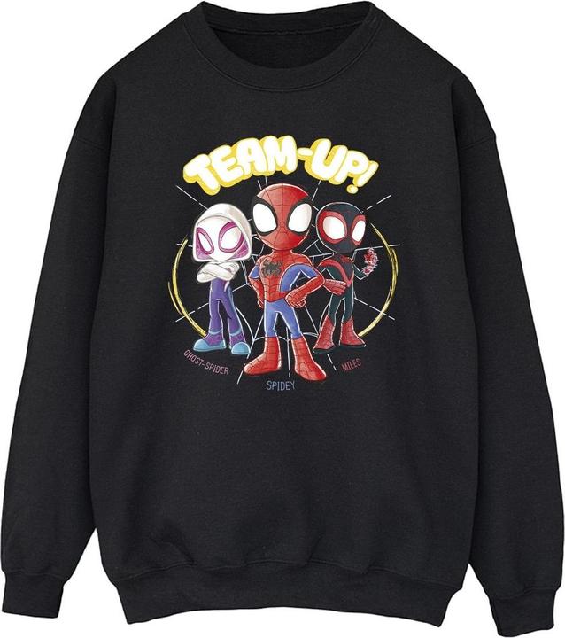 Spidey And His Amazing Friends Sketch Sweatshirt (5XL)