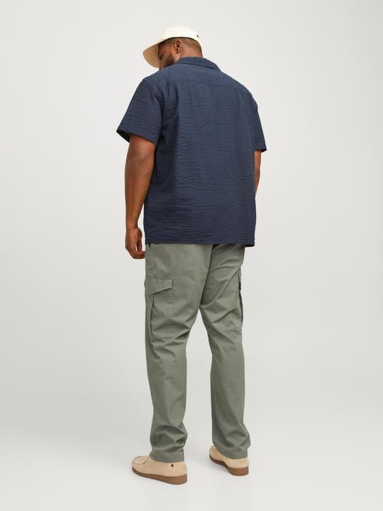 Actual product image Jack & Jones Jpstace Jjsummer Cargo Pls (W42/L34)