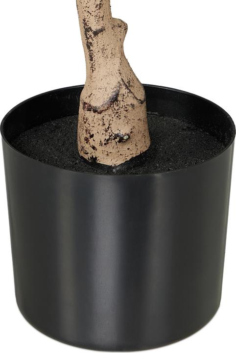 Immagine prodotto Relaxdays Albero d'ulivo (120 cm)