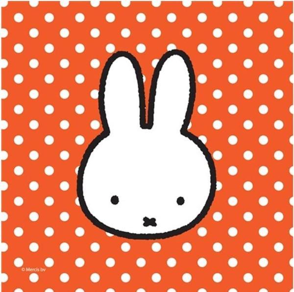 Productafbeelding Haza Witbaard Miffy (20 x, 25 x 25 cm)