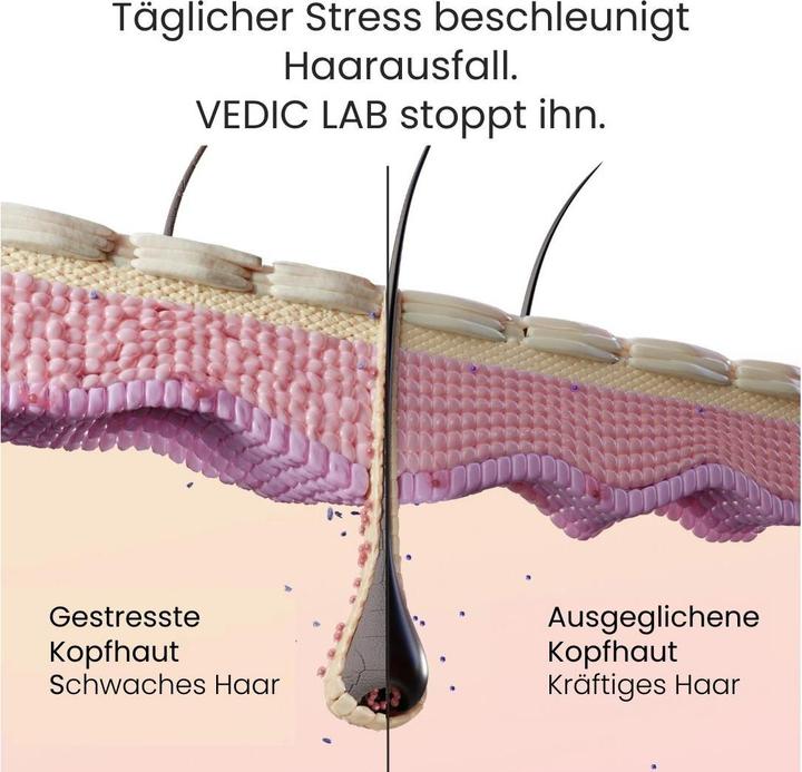 Immagine prodotto Vedic Lab Tages-Kopfhaut-Elixier +UV 100 ml (100 ml)