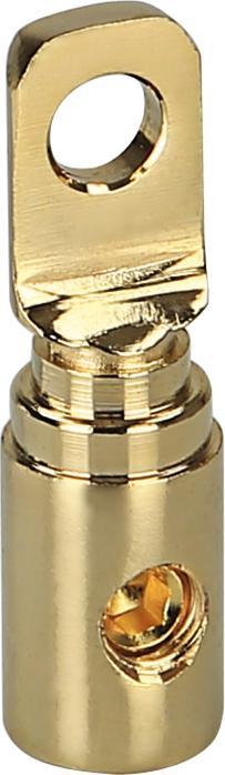 Goldline Ringöse vergoldet 20 mm 8,5 mm