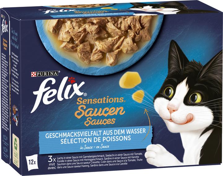 Felix Salsa pesce (Adulto, 12 pz., 1020 g)