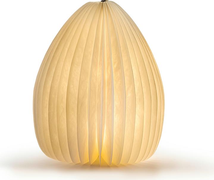 Image du produit Gingko Vase lumineux