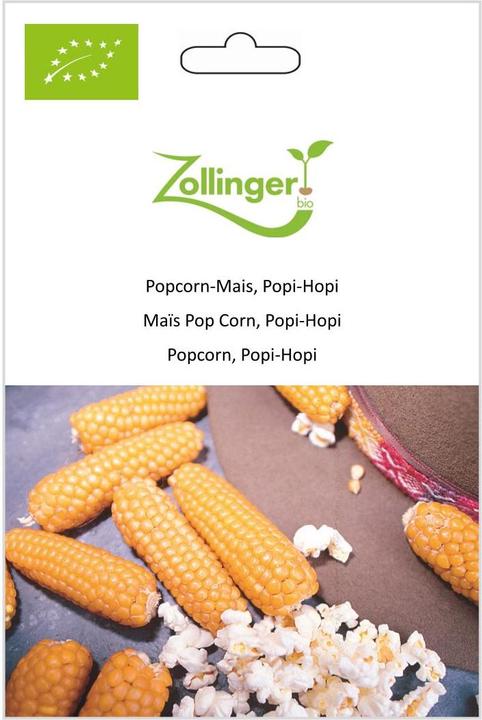 Zollinger Bio Popcorn Corn, Popi Hopi (Seedlings)