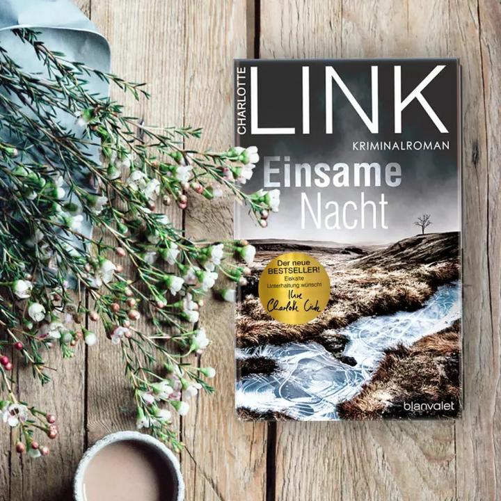 Actual product image Einsame Nacht (German, Charlotte Link, 2022)