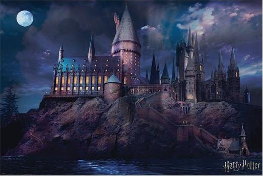 Actual product image Pyramid Harry Potter - Hogwarts (61 x 91 cm)