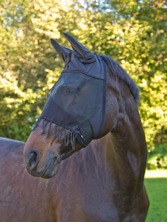 Actual product image Kerbl Fly mask with ear protection and nylon cords