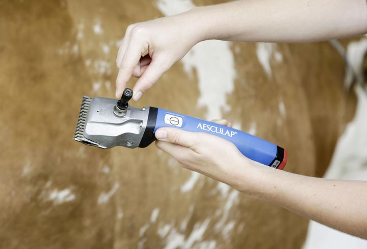 Produktbild Kerbl GT146 Aesculap Schermaschine Econom Equipe für Pferde, 5m Länge, 200 Stück